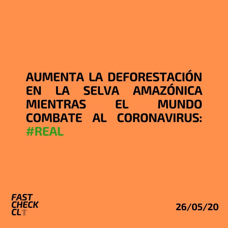 Lee más sobre el artículo Aumenta la deforestación en la Selva Amazónica mientras el mundo combate al coronavirus: #Real
