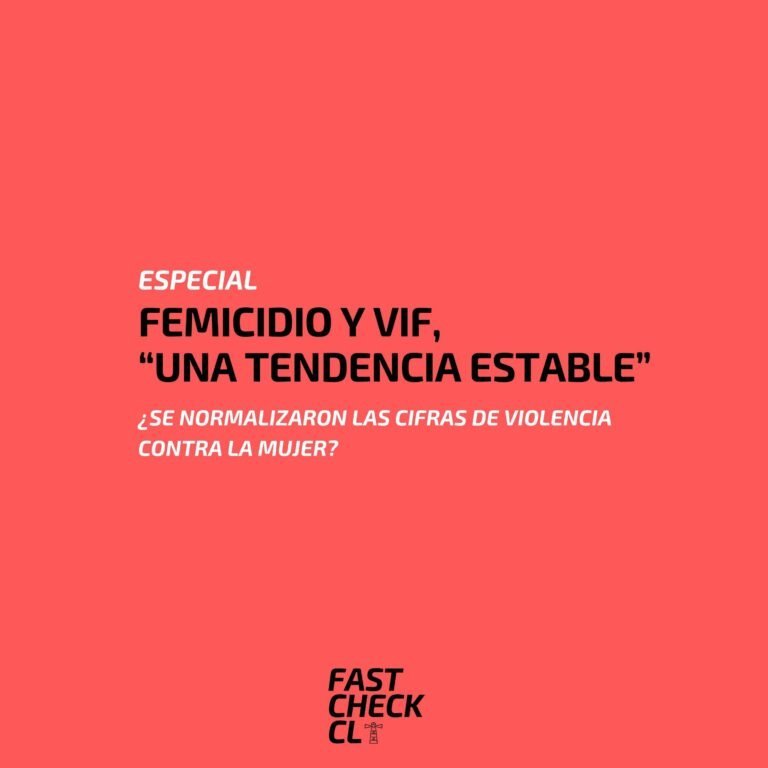 Read more about the article Femicidio y VIF, “una tendencia estable”