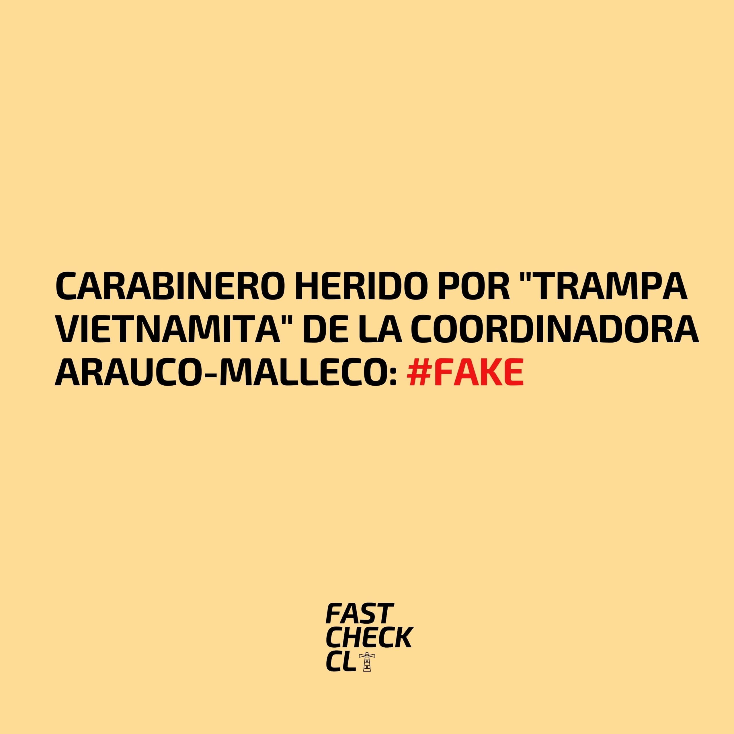 Read more about the article Carabinero herido por “trampa vietnamita” de la Coordinadora Arauco-Malleco: #Fake