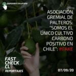 Asociación Gremial de Palteros: “Somos el único cultivo carbono positivo en Chile”: #Fake