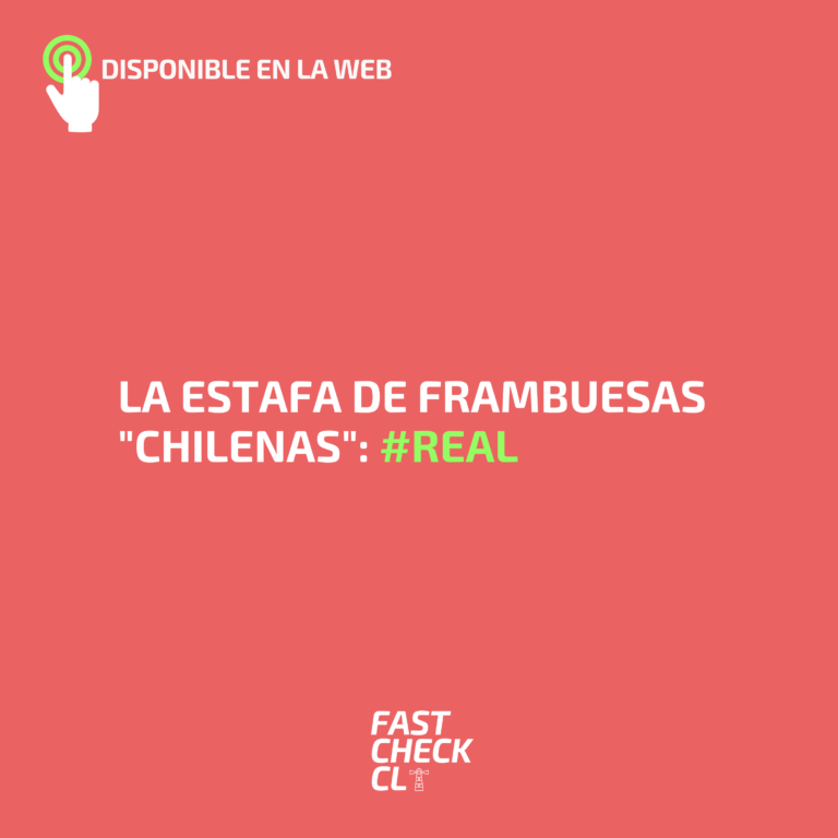 Read more about the article La estafa de frambuesas “chilenas”: #Real