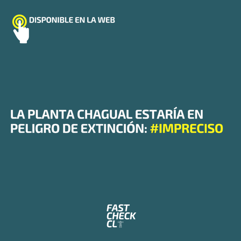 Read more about the article La planta chagual estar铆a en peligro de extinci贸n: #Impreciso