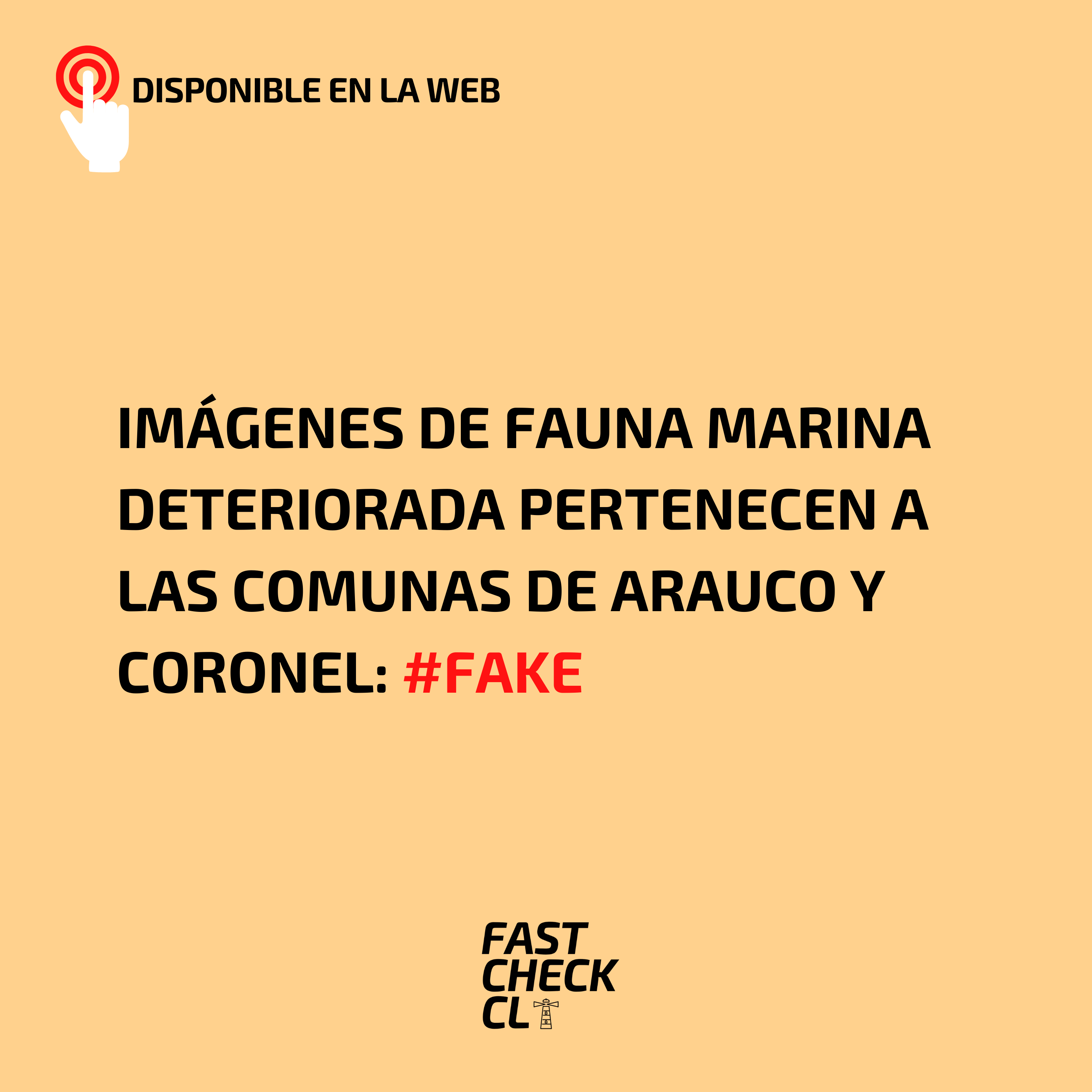 You are currently viewing Imágenes de fauna marina deteriorada pertenecen a las comunas de Arauco y Coronel: #Fake