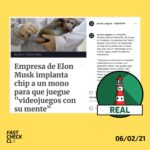 Empresa de Elon Musk implantó chip en mono para que juegue un videojuego con la mente: #Real