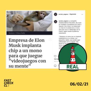 Read more about the article Empresa de Elon Musk implant贸 chip en mono para que juegue un videojuego con la mente: #Real