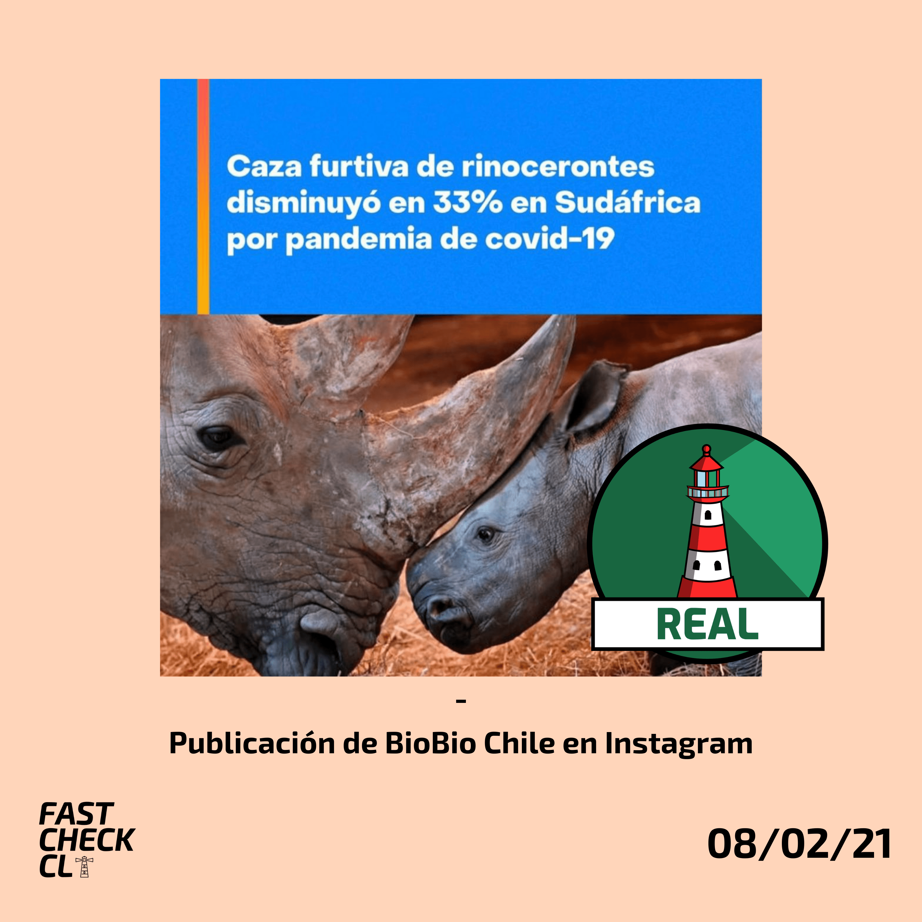 You are currently viewing “Caza furtiva de rinocerontes disminuyó en 33% en Sudáfrica por pandemia de Covid-19”: #Real