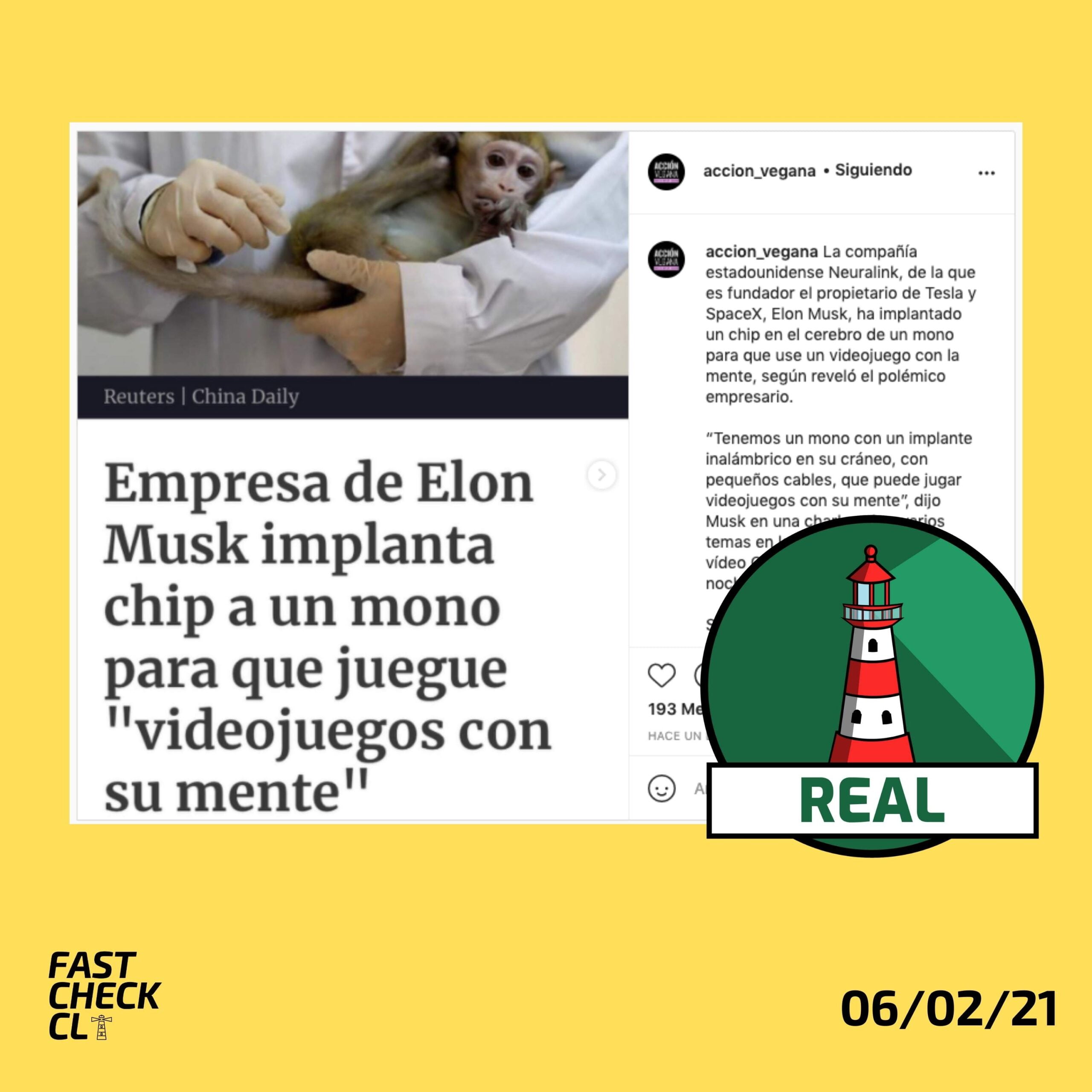 You are currently viewing Empresa de Elon Musk implantó chip en mono para que juegue un videojuego con la mente: #Real