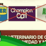 Marcas de comida de gato están siendo investigadas por causar enfermedades neuromusculares y muertes en felinos: #Real