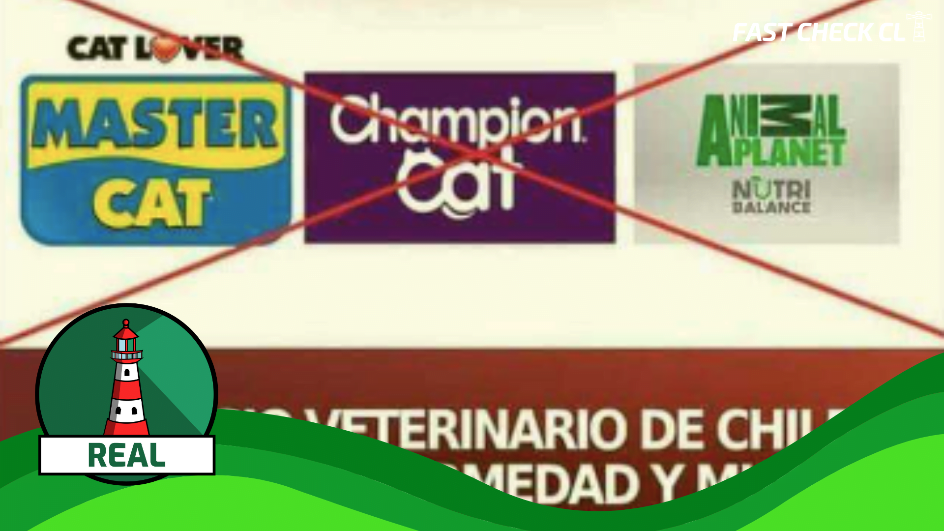 You are currently viewing Marcas de comida de gato están siendo investigadas por causar enfermedades neuromusculares y muertes en felinos: #Real