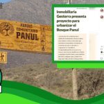 Es posible realizar proyectos de urbanización en el Bosque Panul: #Real