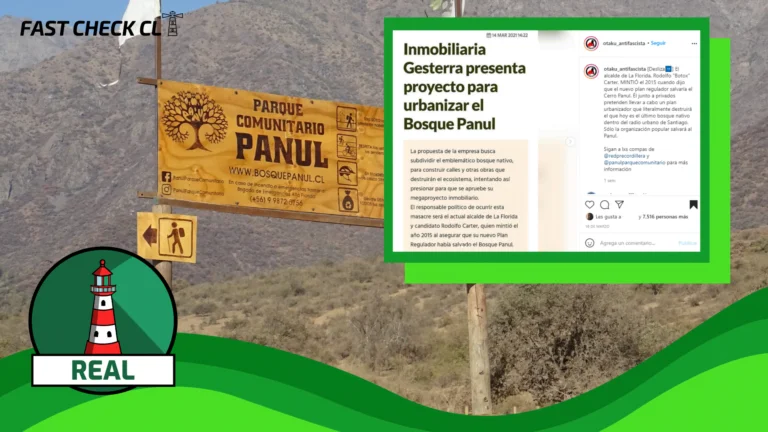 Read more about the article Es posible realizar proyectos de urbanización en el Bosque Panul: #Real