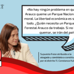 Constanza Hube: «No hay ningún problema en que Forestal Arauco queme un Parque Nacional, la libertad económica es sagrada ante todo»: #Falso