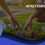 Día Internacional del Fact Checking: es hora de botar la basura