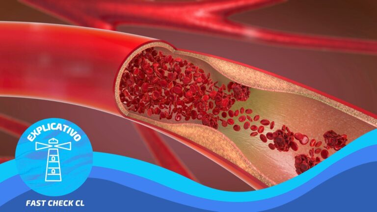 Read more about the article AstraZeneca y Janssen: las principales claves para entender los casos de trombosis