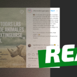 “Alrededor del 99% de las especies al borde de la extinción lo están debido a causas provocadas por el ser humano”: #Real
