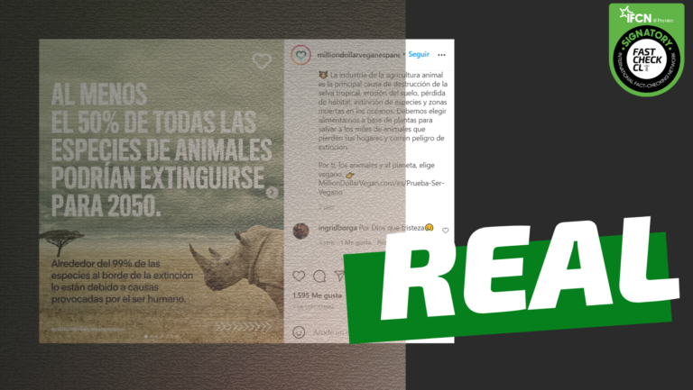 Read more about the article “Alrededor del 99% de las especies al borde de la extinción lo están debido a causas provocadas por el ser humano”: #Real