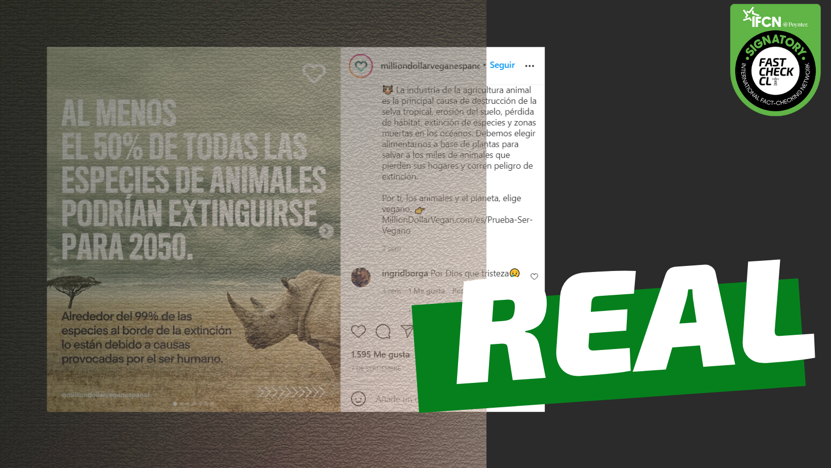 You are currently viewing “Alrededor del 99% de las especies al borde de la extinción lo están debido a causas provocadas por el ser humano”: #Real