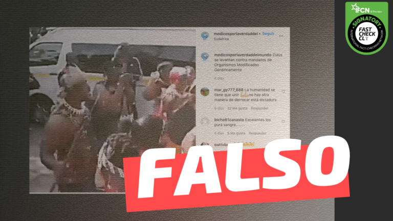 Lee más sobre el artículo Zulús se levantan contra mandatos de organismos modificados genéticamente: #Falso