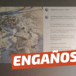 (Imagen): Perro fue quemado en barricadas: #Engañoso