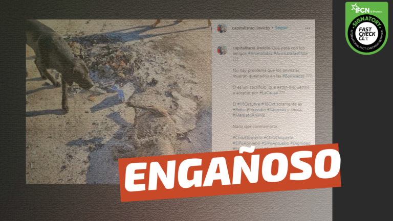 Read more about the article (Imagen): Perro fue quemado en barricadas: #Engañoso