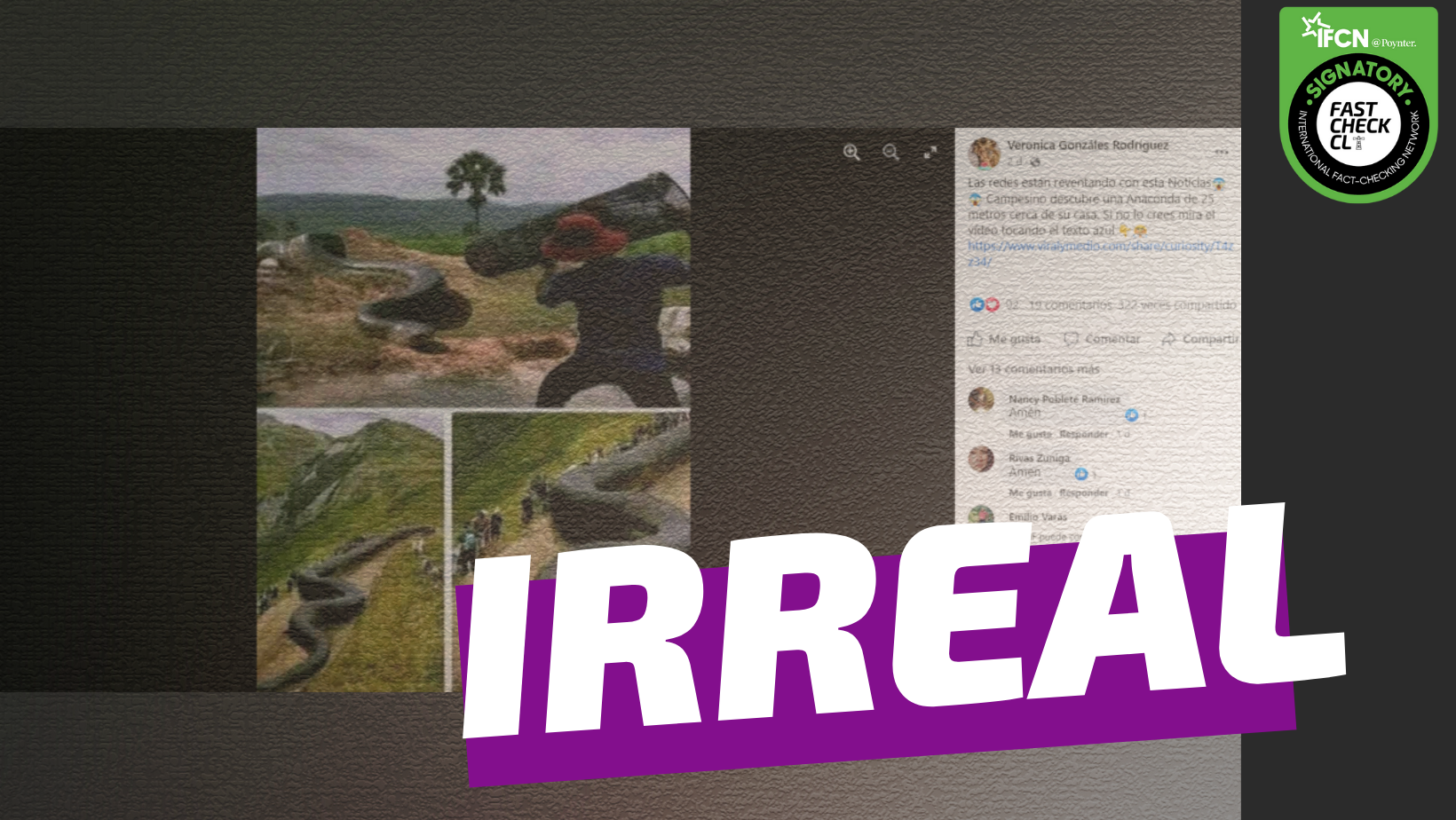 You are currently viewing “Campesino descubre anaconda de 25 metros cerca de su casa”: #Irreal