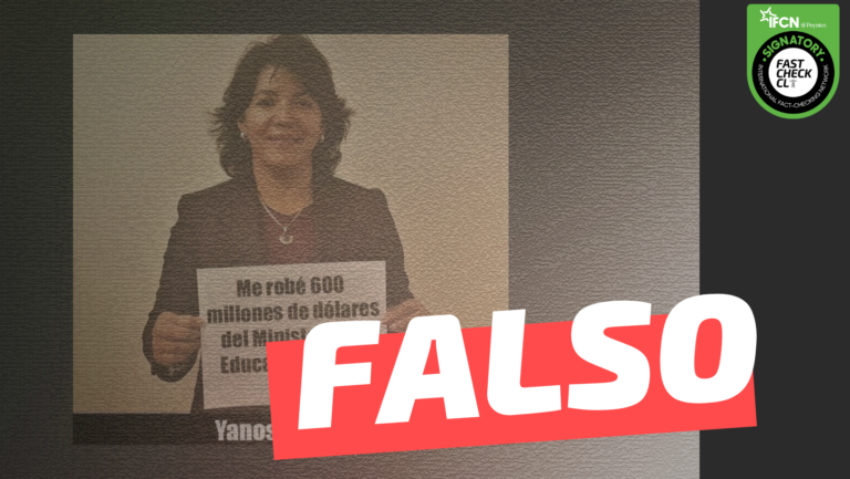 Read more about the article Yasna Provoste se robó 600 millones de dólares del Ministerio de Educación: #Falso