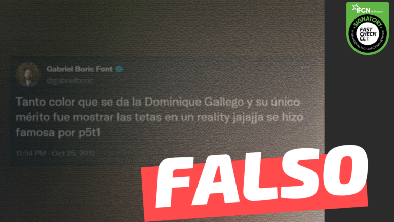 Read more about the article Gabriel Boric: “Tanto color que se da la Dominique Gallego y su único mérito fue mostrar las t… en un reality. Se hizo famosa por p5t1”: #Falso