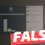 Según la OMS, durante el año 2021, el aborto fue la primera causa de muerte en el mundo: #Falso