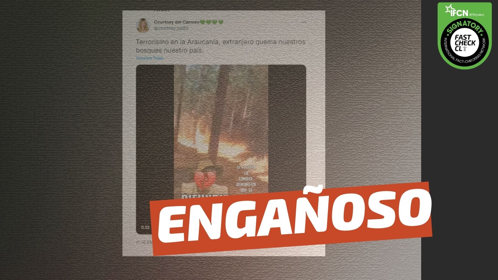 You are currently viewing (Video) “Terrorismo en la Araucanía, extranjero quema nuestros bosques en nuestro país”: #Engañoso