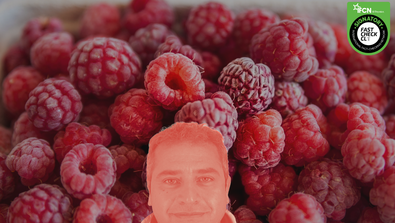 You are currently viewing Mauricio Rebolledo: el señor de las frambuesas