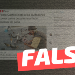“Pedro Castillo instó a los ciudadanos comer carne de paloma ante la escasez de pollo”: #Falso