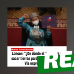 Elisa Loncon: “¿De dónde el Estado va a sacar tierras para construir casas a los sin casa? Vía expropiación”: #Real