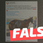 (Imagen) “Así quedó mi caballo cuando iba pasando por Providencia y unos ciclistas del apruebo le empezaron a tirar piedrazos”: #Falso
