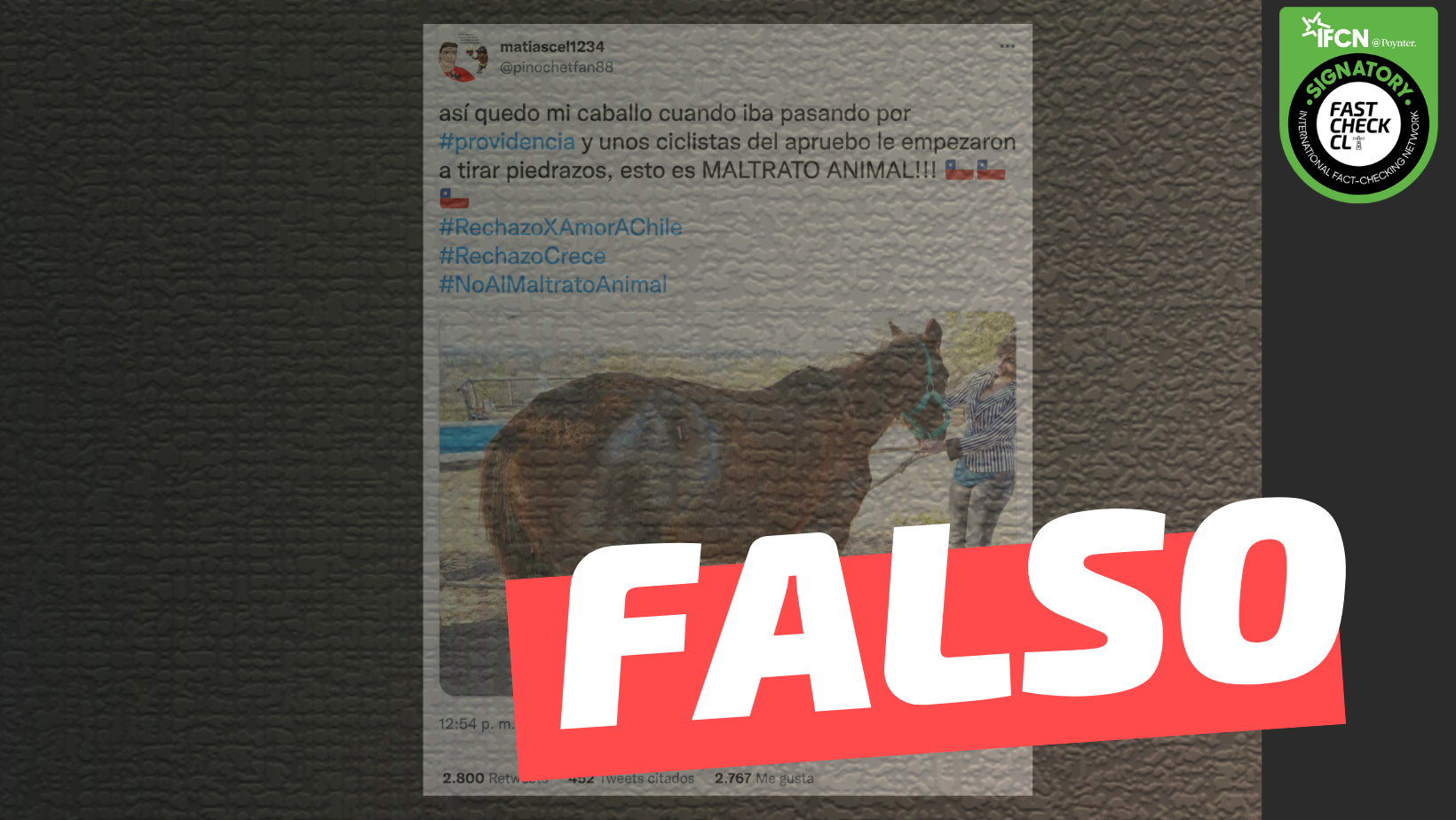 You are currently viewing (Imagen) “Así quedó mi caballo cuando iba pasando por Providencia y unos ciclistas del apruebo le empezaron a tirar piedrazos”: #Falso