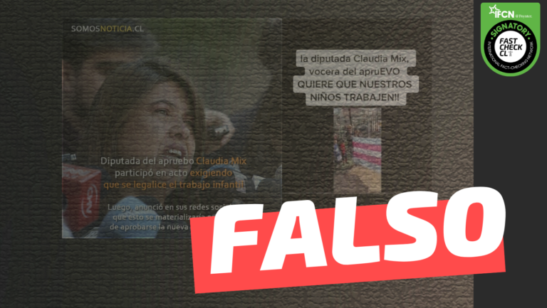 Read more about the article Claudia Mix: “(…) Acá en Chile decimos con eufemismos ‘fin al trabajo infantil’, pero los dejamos morirse de hambre”: #Falso