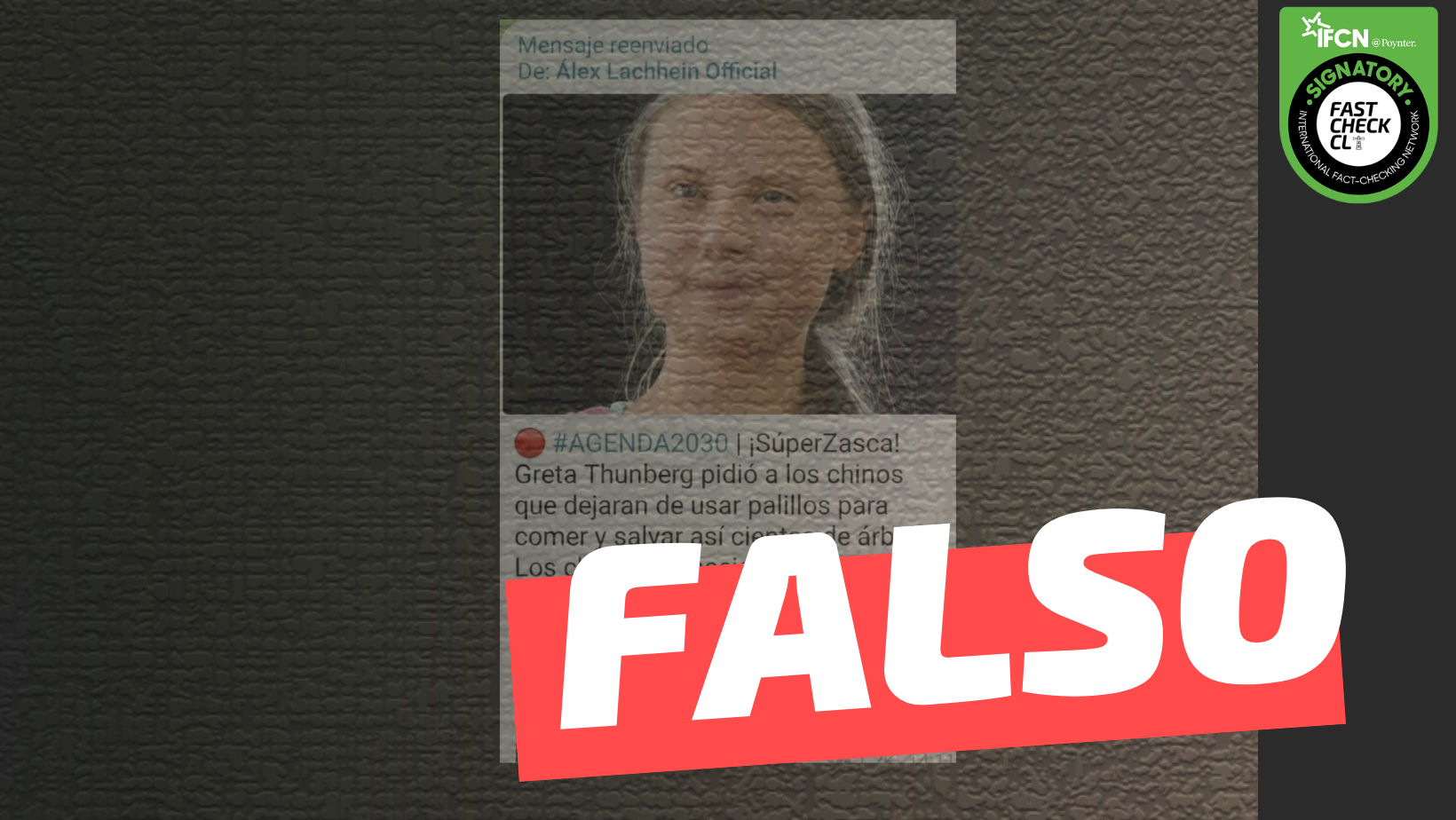 You are currently viewing “Greta Thunberg pidió a los chinos que dejaran de usar palillos para comer y salvar así cientos de árboles”: #Falso
