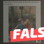 (Imagen) Ciclista del Apruebo atacando con hondas a los caballos en la marcha del domingo: #Falso