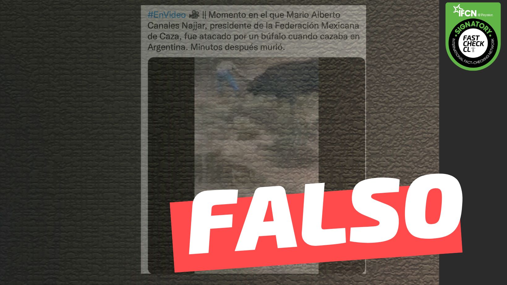 You are currently viewing (Video) “Momento en el que Mario Alberto Canales Najjar, presidente de la Federación Mexicana de Caza, fue atacado por un búfalo cuando cazaba en Argentina”: #Falso