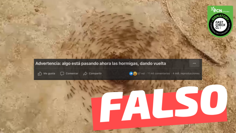 Lee más sobre el artículo (Video) “Algo está pasando ahora con las hormigas dando vuelta”: #Falso