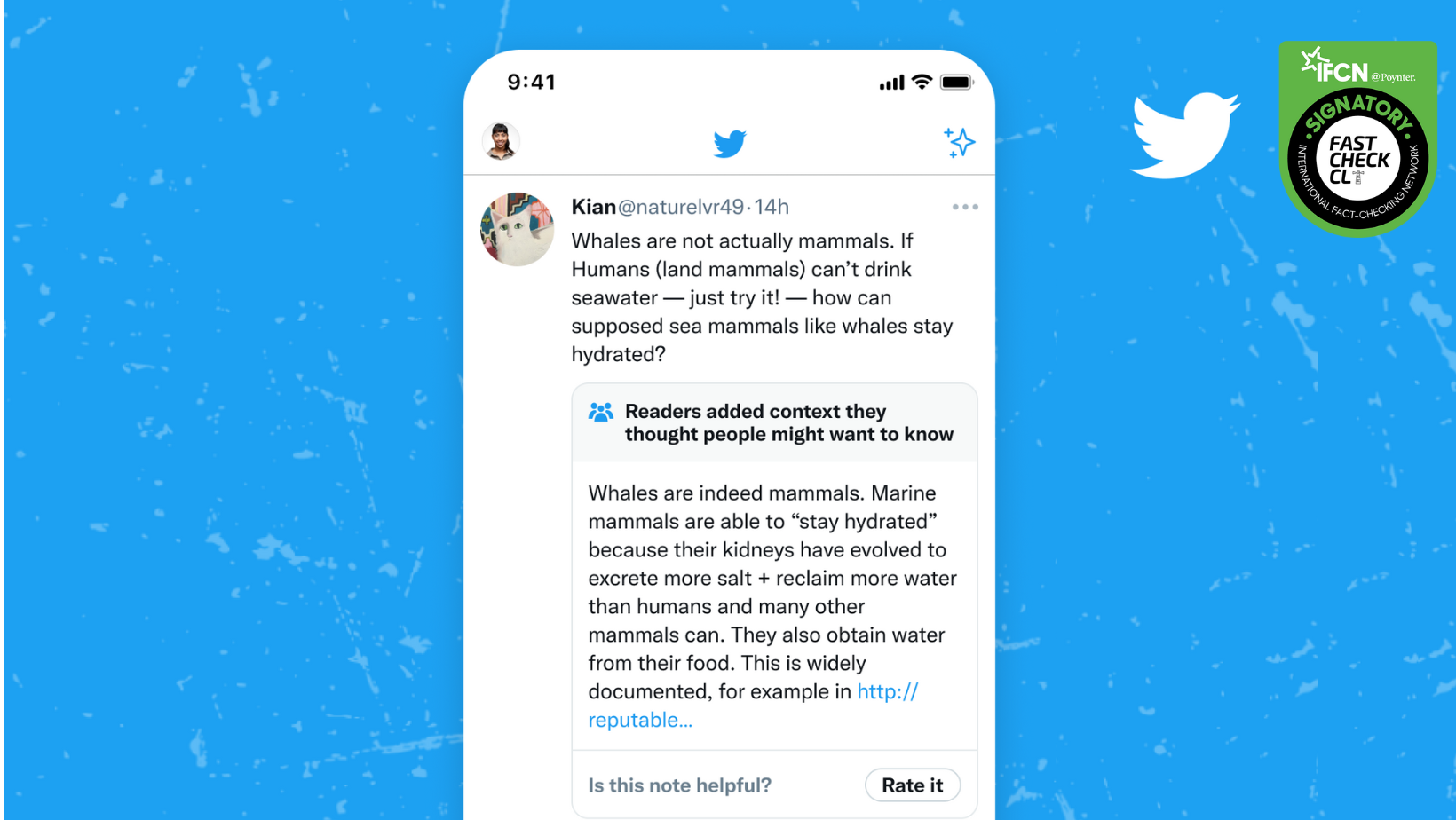 You are currently viewing Community Notes: La nueva función de Twitter para combatir las fake news￼