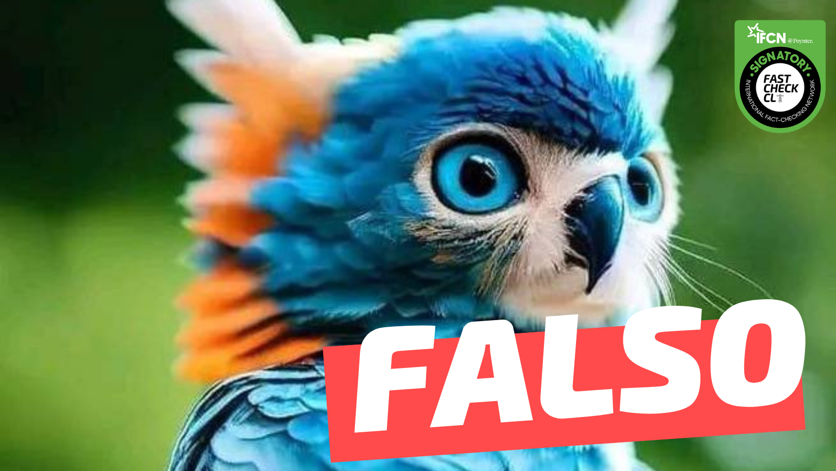 You are currently viewing (Imagen) “El bello búho azul noruego”: #Falso
