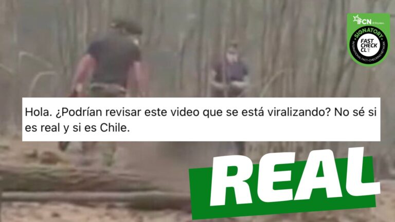 Read more about the article (Video) Persona calcinada por incendios forestales de la zona sur: #Real