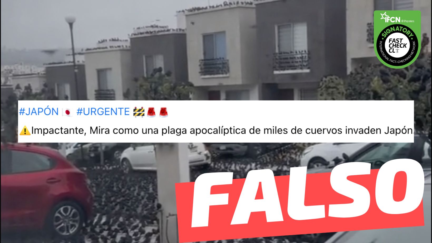You are currently viewing (Video) “Mira como una plaga apocalíptica de miles de cuervos invaden Japón”: #Falso
