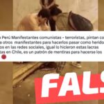 (Video) “En Perú Manifestantes comunistas – terroristas, pintan con kétchup a otros manifestantes para hacerlos pasar como heridos”: #Falso