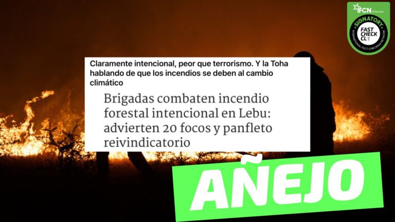Read more about the article (Imagen) “Brigadas combaten incendio forestal en Lebu: advierten 20 focos y panfleto reivindicatorio”: #A帽ejo