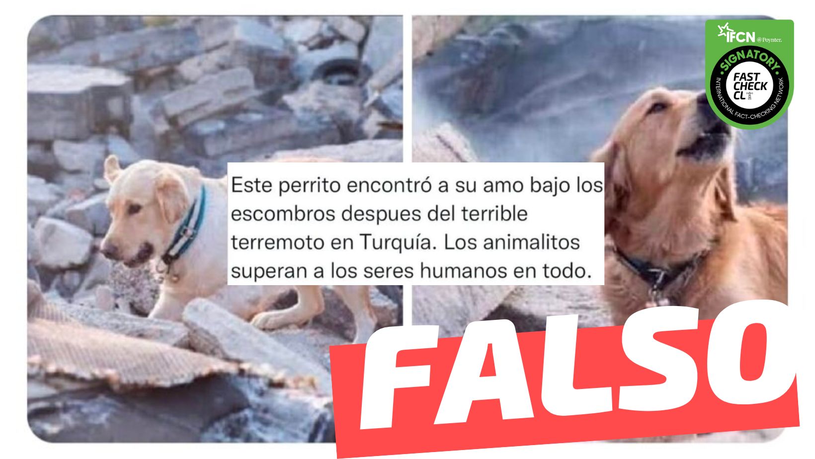 You are currently viewing (Imágenes) “Este perrito encontró a su amo bajo los escombros después del terrible terremoto en Turquía”: #Falso