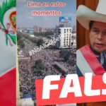 (Video) “Lima en estos momentos”: #Falso