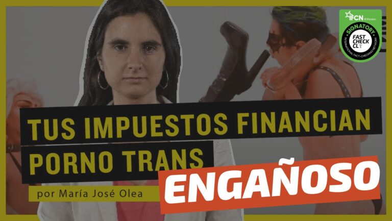 Read more about the article (Video) Gobierno de Boric financia “desde reggaetón feminista para niños hasta videos de porno trans”: #Engañoso