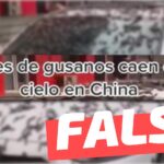 (Video) “Lluvia de gusanos en China”: #Falso