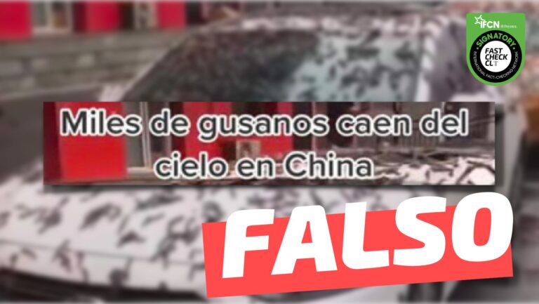 Read more about the article (Video) “Lluvia de gusanos en China”: #Falso